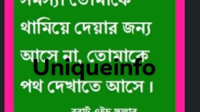 250+মোটিভেশনাল উক্তি বাংলা স্ট্যাটাস মনীষীর উক্তি ইসলামিক স্ট্যাটাস পড়ালেখার স্ট্যাটাস 2024