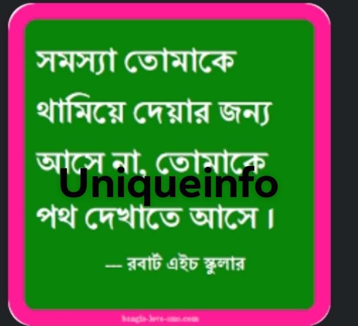 250+মোটিভেশনাল উক্তি বাংলা স্ট্যাটাস মনীষীর উক্তি ইসলামিক স্ট্যাটাস পড়ালেখার স্ট্যাটাস 2024