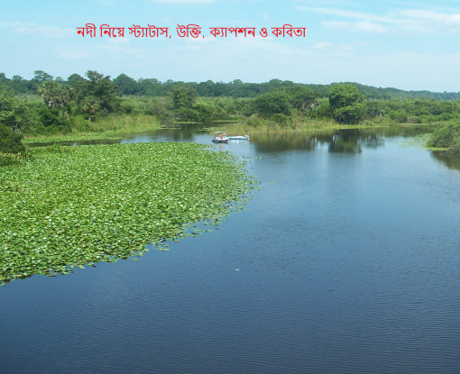 নদী নিয়ে স্ট্যাটাস, উক্তি, ক্যাপশন ও কবিতা