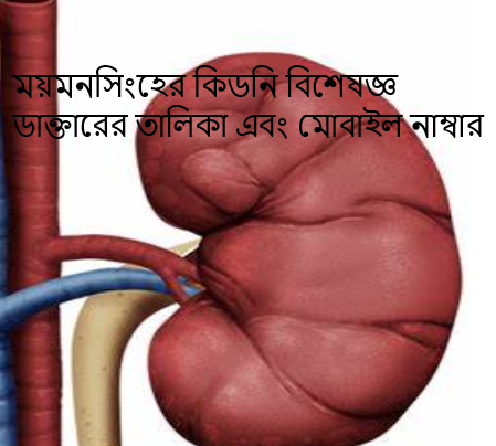 ময়মনসিংহের কিডনি বিশেষজ্ঞ ডাক্তারের তালিকা এবং মোবাইল নাম্বার