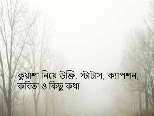 কুয়াশা নিয়ে উক্তি, স্টাটাস, ক্যাপশন, কবিতা ও কিছু কথা