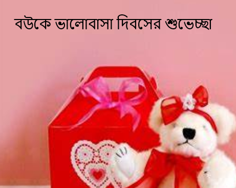 বউকে ভালোবাসা দিবসের শুভেচ্ছা