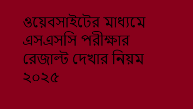ওয়েবসাইটের মাধ্যমে এসএসসি পরীক্ষার রেজাল্ট দেখার নিয়ম ২০২৫