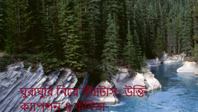 ঘুরাঘুরি নিয়ে স্ট্যাটাস, উক্তি, ক্যাপশন ও কবিতা