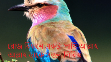 রোজ বিহানে একটা পাখি আল্লাহ আল্লাহ ডাকে গজল লিরিক্স