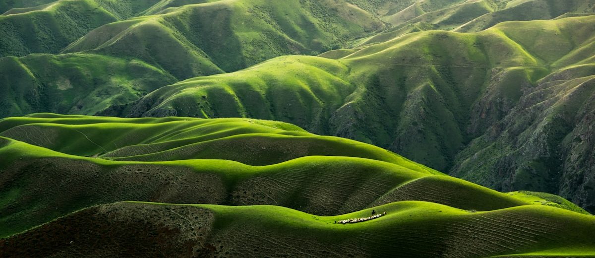 Dramatic USA national park landscape with mountains and clear blue sky